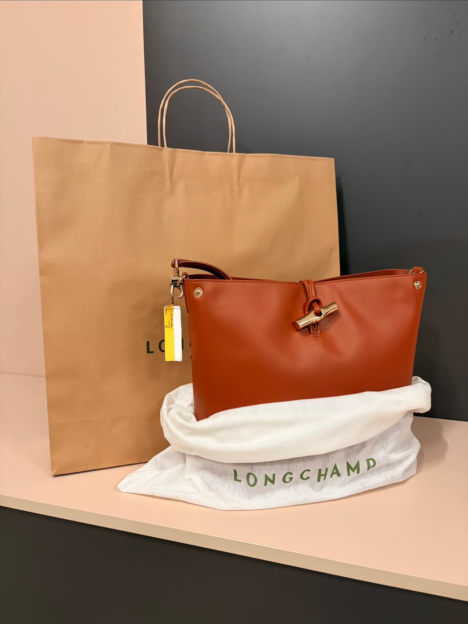 Le Roseau M Hobo Bag thumbnail 4